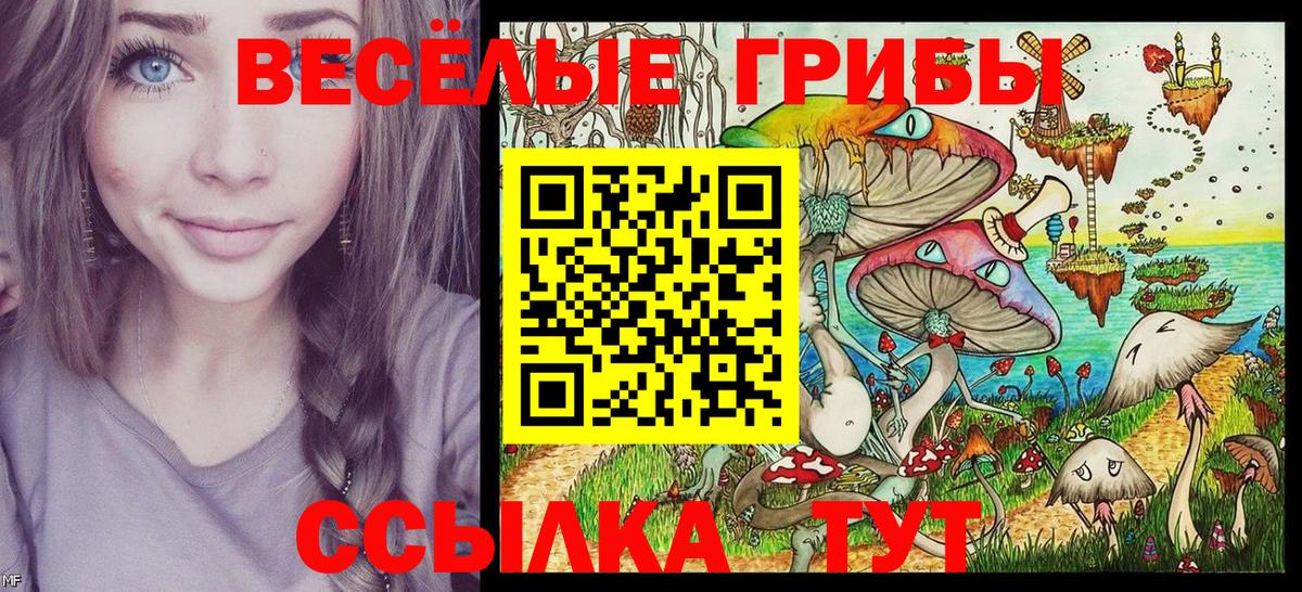 Галлюциногенные грибы MAGIC MUSHROOMS Бахчисарай